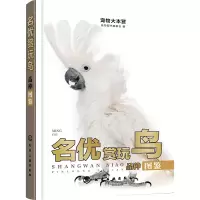 全新名优赏玩鸟品种图鉴宠物图书编委会 编9787122428950
