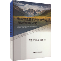 全新青海省主要矿产资源节约与综合利用研究魏小林9787562556350