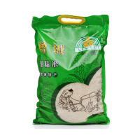 新穗增城油粘米5KG增城特产 南方大米10斤优质长粒米