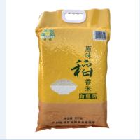 新穗原味稻香米5KG南方大米10斤长粒米当季新米
