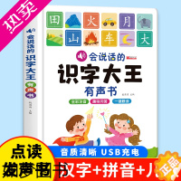 [正版]会说话的识字大王有声书 宝宝认字书汉字拼音儿歌认知会说话的早教有声书幼儿园3-6岁宝宝启蒙儿童拼音手指点读幼儿学