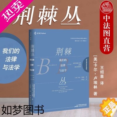 [正版]正版 2020新书 荆棘丛——我们的法律与法学 麦读系列 现实主义法学的经典名著 批判法学理论 法学院学生法律人