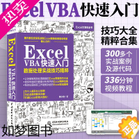 [正版]Excel VBA快速从入门到精通数据处理与分析实战技巧精粹 excelvba编程教程书籍代码大全 高效办公wp