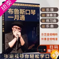 [正版]布鲁斯口琴一月通 张晓松 布鲁斯口琴演奏技巧基础入门教程口琴基础乐理演奏法教学口琴练习曲乐曲轻松学口琴流行经典老