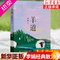 [正版]羊道前山夏牧场 李娟经典散文集羊道三部曲二部荣获“人民文学奖”“朱自清散文奖”“天山文艺奖”奖项花城出版社正版