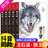 [正版]全套5册正版狼王梦沈石溪动物小说画本系列全集小学生三四五六年级下册狼王梦漫画完整版珍藏版小学课外阅读书籍儿童文学