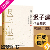 [正版]正版 迟子建作品精选 迟子建 著 囊括代表性中短篇《雪窗帘》《逝川》《一匹马两个人》《亲亲土豆》等名篇 迟子