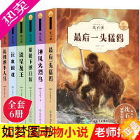 [正版]沈石溪动物小说系列全集正版经典珍藏版全套6册 小学生课外阅读书籍三四年级五六年级必读的读物单本 儿童文学故事书9