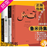 [正版]鲁米的诗全4册偷走睡眠的人+万物生而有翼+火 鲁米抒情诗+让我们来谈谈我们的灵魂 外国小说诗歌诗集鲁米灵性诗集黄