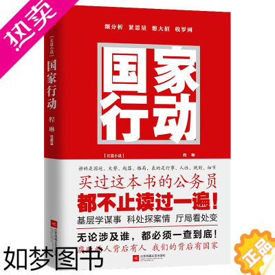 [正版]正版 国家行动 程琳 张译主演同名电视剧原著 人民的名义纸牌屋 悬疑推理警匪破案犯罪打黑惩除恶反腐刑侦探笔记官场