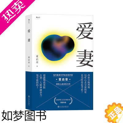 [正版]爱妻台北书展大奖获奖作品香港**作家董启章著作华语文学悬疑小说后浪后浪出版