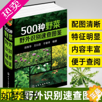 [正版]500种野菜野外识别速查图鉴 野外识别速查图鉴中国野菜野果植物菌类图鉴图谱一本通书籍自然科学生物科学植物学健康饮