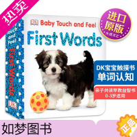 [正版]Baby Touch and Feel First Words 英文原版绘本 DK宝宝触摸书 单词认知 英文版进