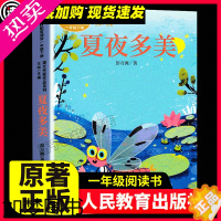 [正版]夏夜多美人教版 课文作家作品一年级下册 彩图注音版 一年级课外书 人民教育出版社小学生阅读书籍 班主任老师推