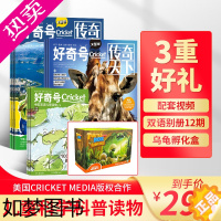 [正版][送乌龟礼盒] 好奇号杂志 2024年1月起订 1年共12期 杂志铺预订 美国Cricket Media版权