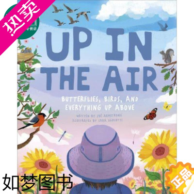 [正版]Up in the Air DK:空气上层 英文原版 进口原版 7岁到9岁 精装 少儿科普绘本 Zoe Arm