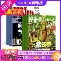 [正版][杂志铺预订] 问天少年加好奇号杂志组合 2024年1月起订 1年共24期 全年订阅 青少年航空航天军事科学