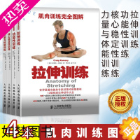 [正版]肌肉训练完全图解4本 功能性训练+拉伸训练+核心稳定性训练+力量与体能训练 运动损伤书功能性训练无器械健身书籍