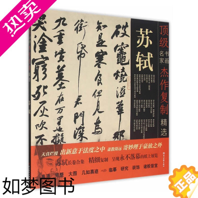 [正版]正版 书画名家杰作复制精选:苏轼 寒食帖赤壁赋金刚经书画名家名作书法临摹临习鉴赏册页 书法艺术收藏图书