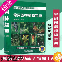 [正版]园林工程从新手到高手系列 常用园林植物宝典 丰富园林植物图片 分类识读植物 建筑书籍 园林景观 环境艺术 植物景