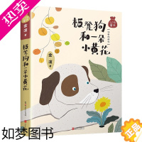 [正版]板凳狗和一朵小黄花 金波 著 小口袋童话注音桥梁书 6-10-12岁儿童文学读物正版一年级二年级小学生课外阅读书