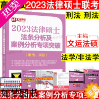 [正版]正版]2023考研法律硕士联考法条分析及案例分析专项突破(刑法民法) 法学非法学文运法硕 可搭购历年真题刑法分则