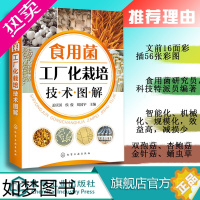 [正版]食用菌工厂化栽培技术图解 双孢菇金针菇蛹虫草工厂化生产菌种制作栽培病虫害防治保鲜加工技术书籍 机械自动化设备菌种