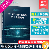 [正版]正版 动力电池技术创新及产业发展战略 国内外动力电池现状与发展趋势 锂硫电池 全固态电池 动力电池研究生产科技工