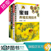 [正版]蜜蜂养殖书籍 4册 蜜蜂养殖实用技术 蜜蜂高效养殖技术一本通 蜜蜂养殖实用技术 图说蜜蜂养殖关键技术 蜜蜂养殖大