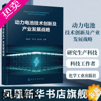 [正版]动力电池技术创新及产业发展战略 动力电池研究生产科技工作者应用书籍 化学工业出版社凤凰书店