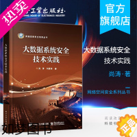 [正版]正版 大数据系统安全技术实践 健康医疗大数据具体应用书籍 平台程序设计开发 数据隐藏与加密 网络安全 集群监控