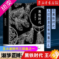 [正版][书店]正版 黑铁时代 王小波小说集 时代三部曲之一 王小波经典文学 王小波短篇集 经典文学随笔小说