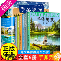 [正版]手斧男孩系列全套6册纽伯瑞儿童文学奖作品 经典儿童冒险小说 三四五六年级小学生必课外阅读书籍 心灵成长探险故事勇