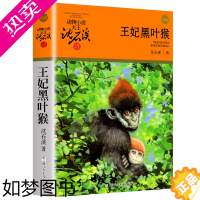 [正版]王妃黑叶猴 沈石溪动物小说品藏书系升级版 小学生课外阅读书籍6-9-12岁青少年版儿童文学三四五六年级阅读儿童文