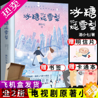 [正版]赠飞机盒+明信片+书签+番外]冰糖炖雪梨小说书全套2册酒小七张新成主演电视剧原著青春文学校园言情小说高中生爱情故