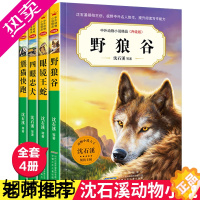 [正版]正版 沈石溪动物小说全4册 野狼谷/四眼忠犬/眼镜王蛇/熊猫快跑等经典故事书系儿童文学小学生课外阅读书籍三四五六