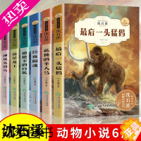 [正版]动物小说大王沈石溪精读系列 全套6册 小学生课外阅读书籍 三四五六年级的课外书 儿童故事读物