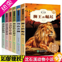 [正版]沈石溪动物小说全集6册 儿童文学系列经典读物 狮王的崛起四五六年级学生课外阅读故事书