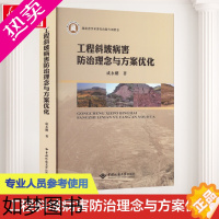 [正版]工程斜坡病害防治理念与方案优化 成永刚 著 地质学专业科技 书店正版图书籍 中国地质大学出版社