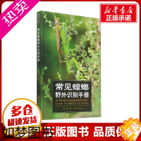 [正版]常见螳螂野外识别手册 吴超 著 昆虫专业科技 书店正版图书籍 重庆大学出版社