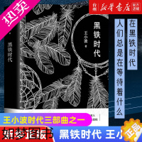 [正版][书店正版]黑铁时代王小波著精装版迄今完整的王小波手稿初次曝光李银河授权出版 小说清晰勾勒了王小波的创作版图经典