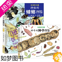 [正版][北斗]生命的力量神秘的蟑螂图鉴神奇的种子图鉴 自然科学绘本昆虫百科知识启蒙书籍感悟生命力量种子昆虫哲学博物馆