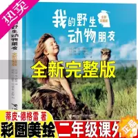 [正版]我的野生动物朋友二年级必读非注音版课外书动物奇趣故事蒂皮德格雷著内容同云南教育出版社接力出版社全新完整版人与自然