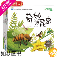 [正版]我的一套科学探索绘本全5册 大自然的奥秘 奇妙的昆虫+神奇的植物+小水滴历险记+石头的故事+风是怎样形成的 儿童
