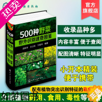 [正版]500种野菜野外识别速查图鉴 野菜识别特征实用方法 中医草药材识别图大全 生活常识中草药有毒植物识别图集 自然科