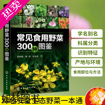 [正版]常见食用野菜300种图鉴 野外植物识别速查手册书自然科学生物学植物学知识书籍大全 户外探险百科全书野菜识别图谱一