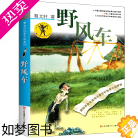 [正版]野风车 曹文轩 正版儿童文学小说课外读物书少儿故事名著丛书江苏凤凰少年儿童出版社 野风车/曹文轩纯美小说系列