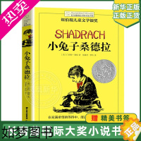 [正版]正版 小兔子桑德拉 长青藤大奖小说书系 儿童文学8-10-12-15岁少儿读物 三四五六年级小学生课外阅读书籍