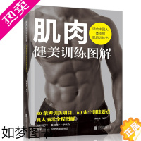 [正版]铜版纸]肌肉健美训练图解中国人体质的肌肉训练书籍 肌肉健美训练指南 真人分步图示热爱健身健身入门级人士专业指导书