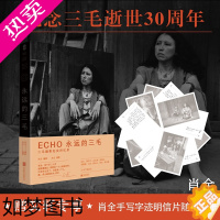 [正版]ECHO 永远的三毛 肖全 编 艺术摄影技法基础教程图书 拍照技巧学习专业知识书籍 北京联合出版公司